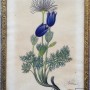Obraz - květina